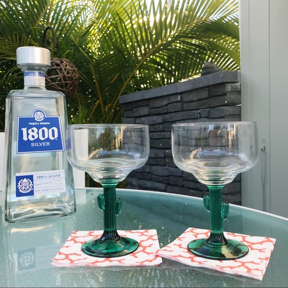 Vintage Cactus Margarita Glasses
